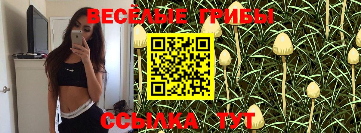 Серпухов  Галлюциногенные грибы Magic Shrooms  Вход с VPN 