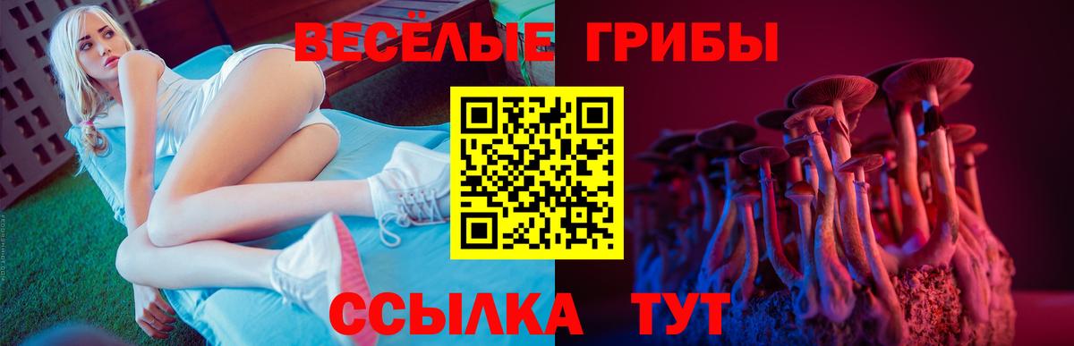 Псилоцибиновые грибы мицелий Серпухов